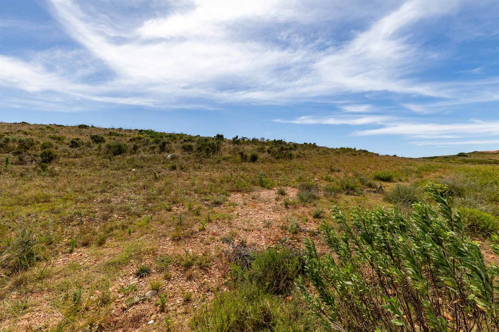 1635 m² Land available in Hartenbos photo number 15