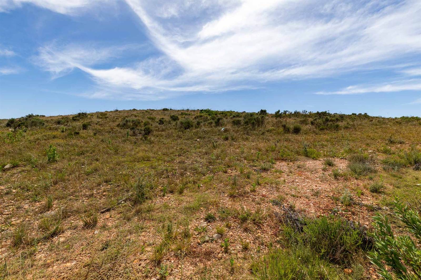 1635 m² Land available in Hartenbos photo number 4