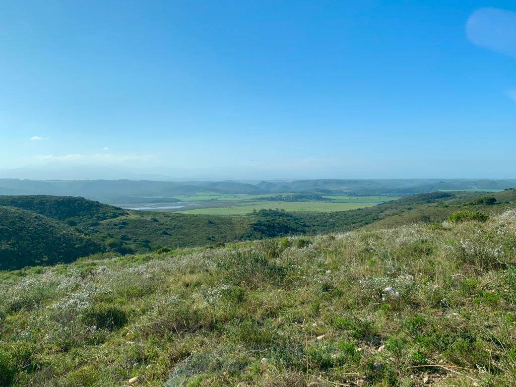 1635 m² Land available in Hartenbos photo number 29