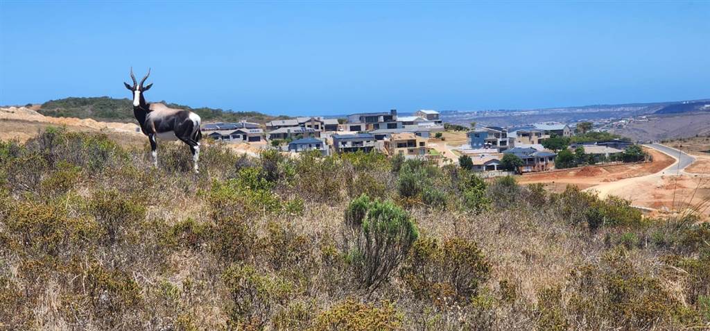 1635 m² Land available in Hartenbos photo number 11