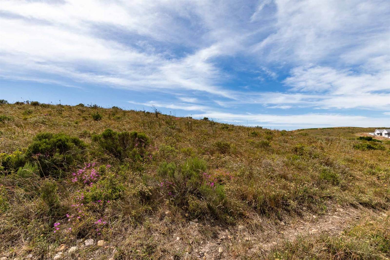 1635 m² Land available in Hartenbos photo number 19