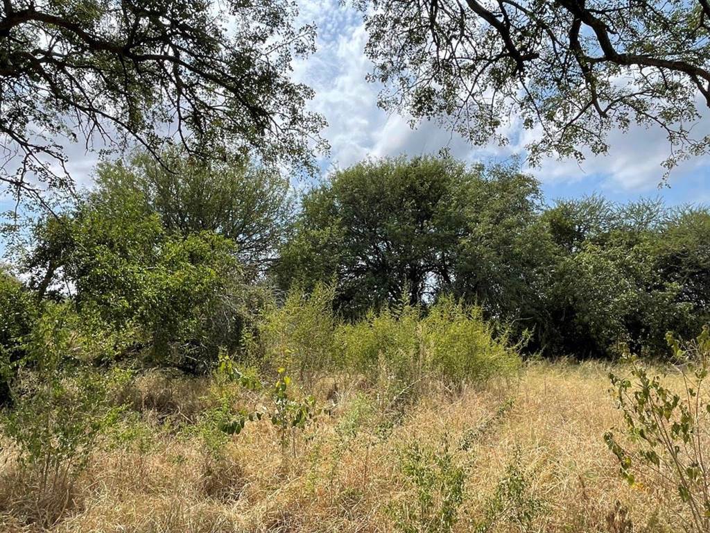 2000 m² Land available in Hoedspruit photo number 14