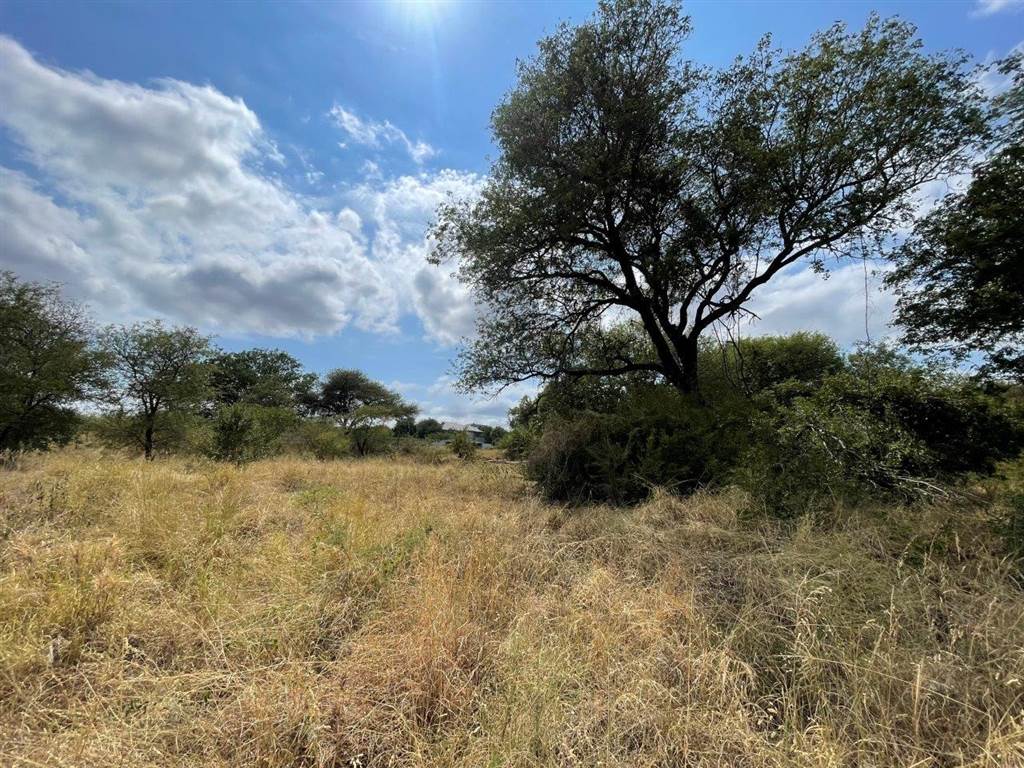 2000 m² Land available in Hoedspruit photo number 7