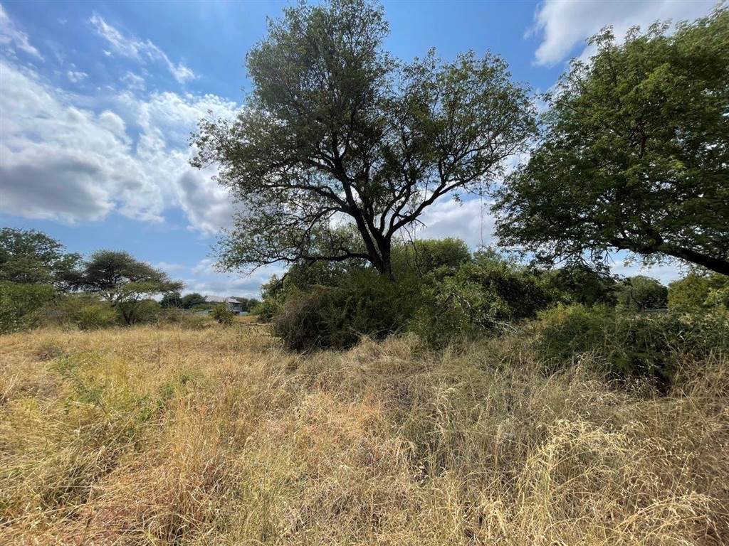 2000 m² Land available in Hoedspruit photo number 6