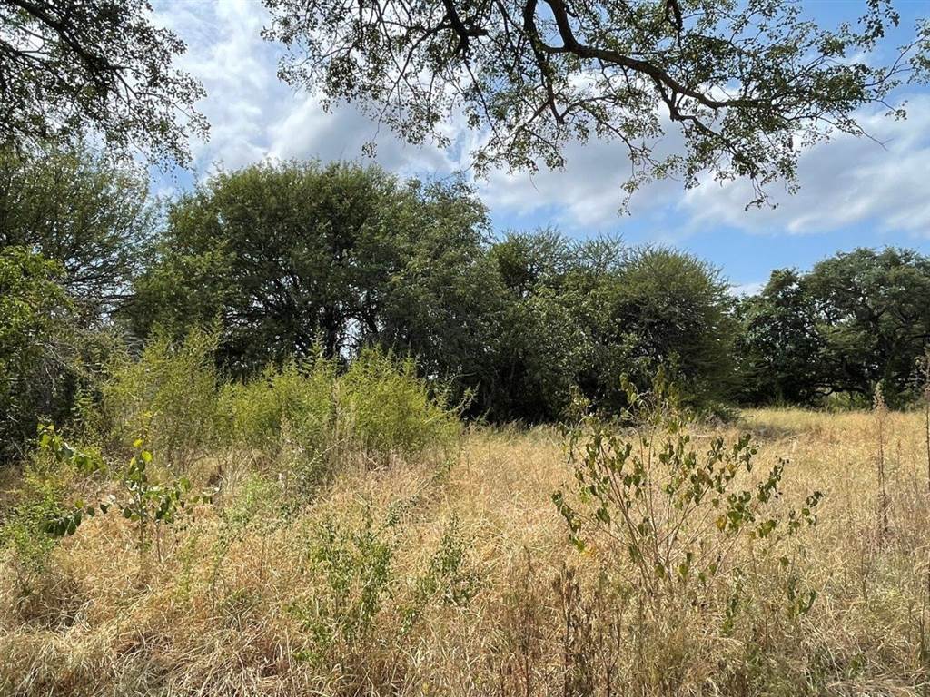 2000 m² Land available in Hoedspruit photo number 12