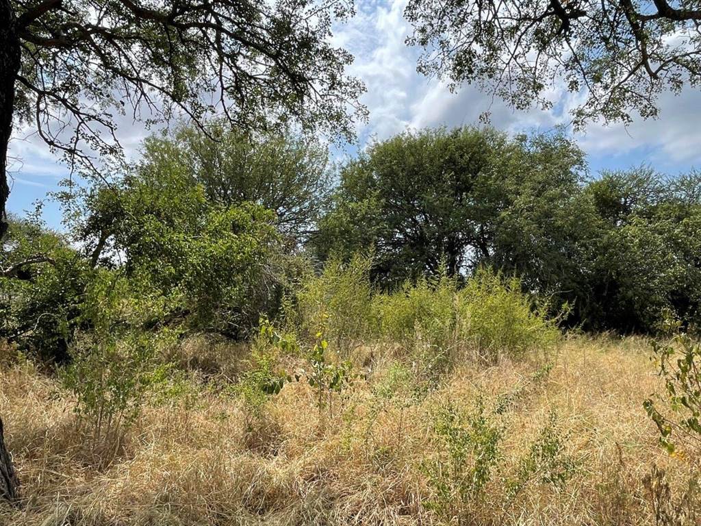 2000 m² Land available in Hoedspruit photo number 13