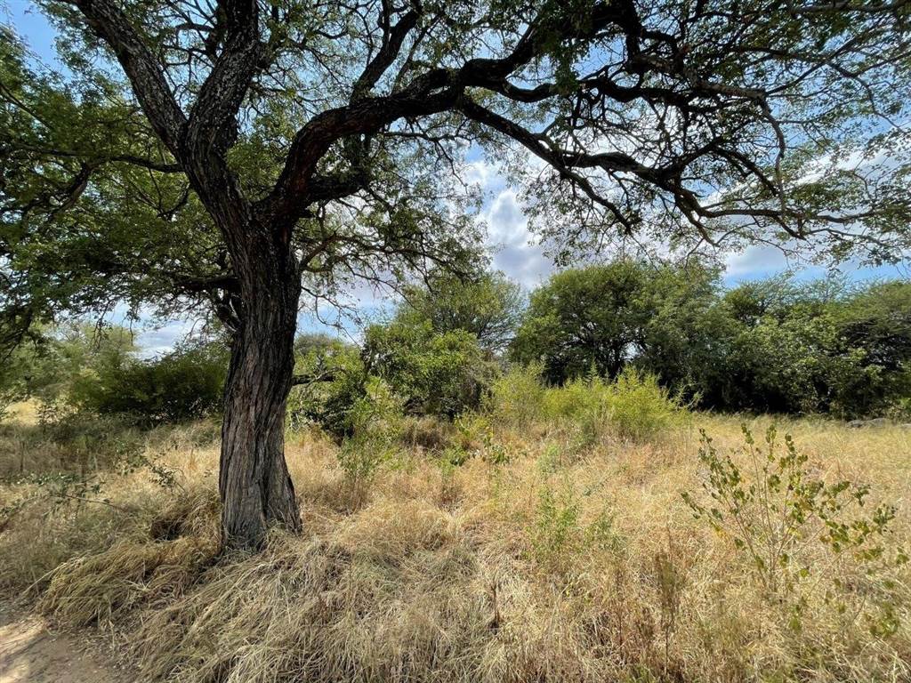 2000 m² Land available in Hoedspruit photo number 3