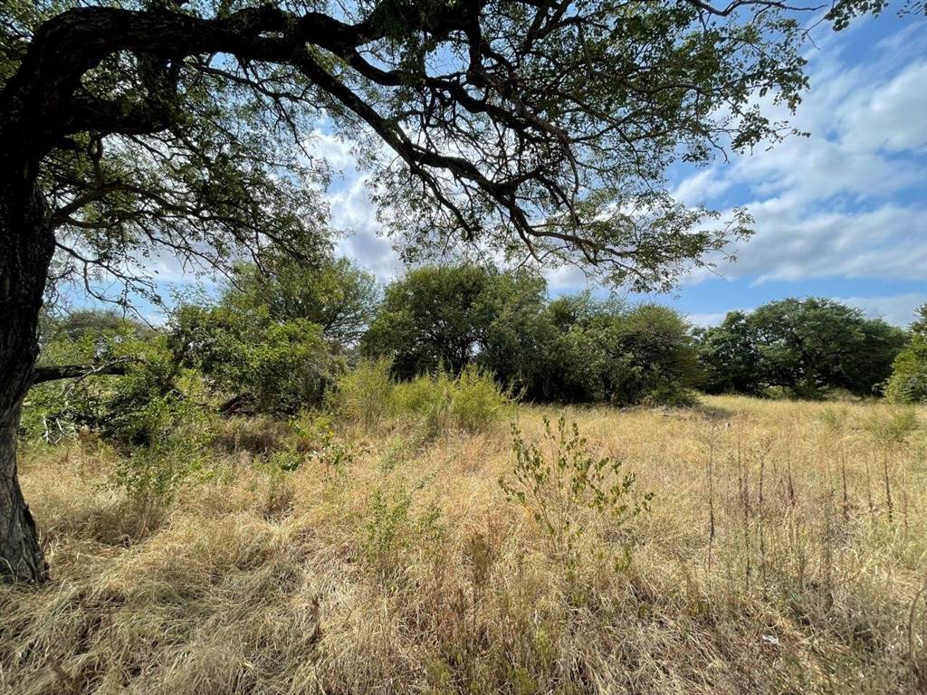 2000 m² Land available in Hoedspruit photo number 4