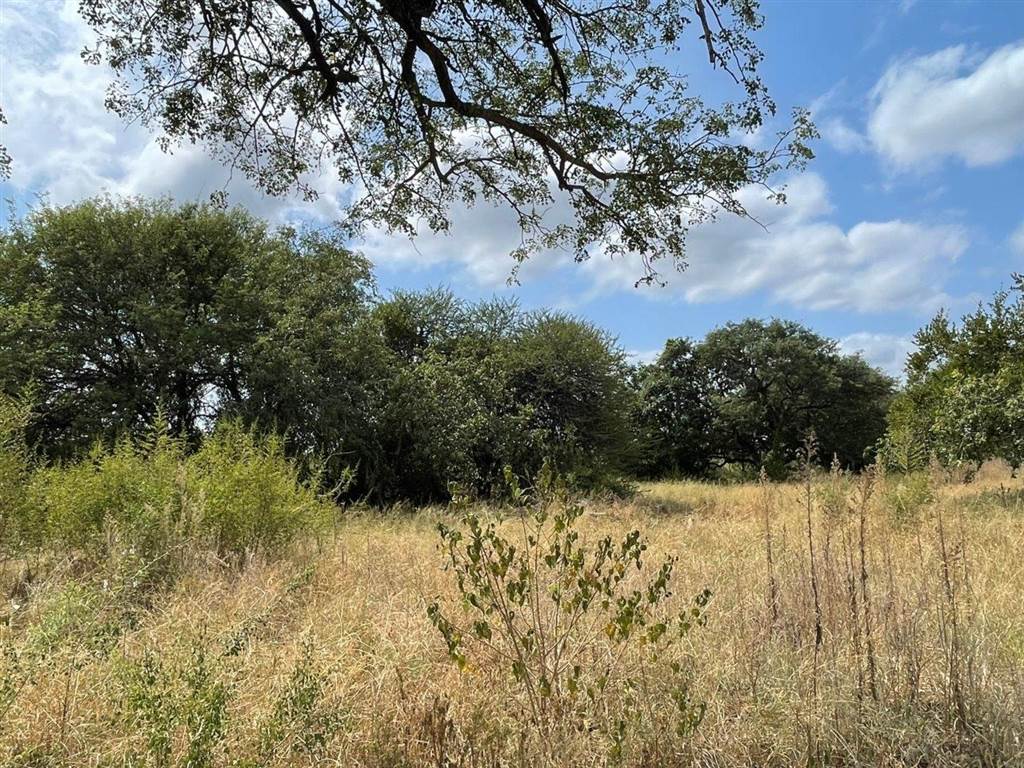2000 m² Land available in Hoedspruit photo number 15