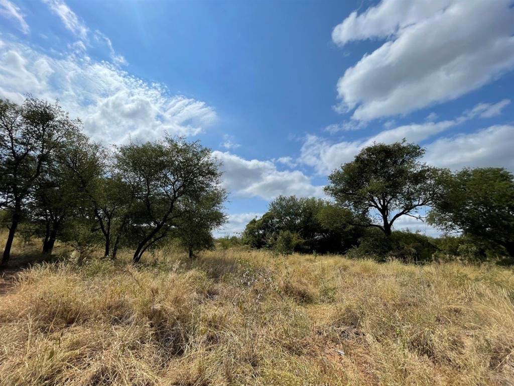 2000 m² Land available in Hoedspruit photo number 10
