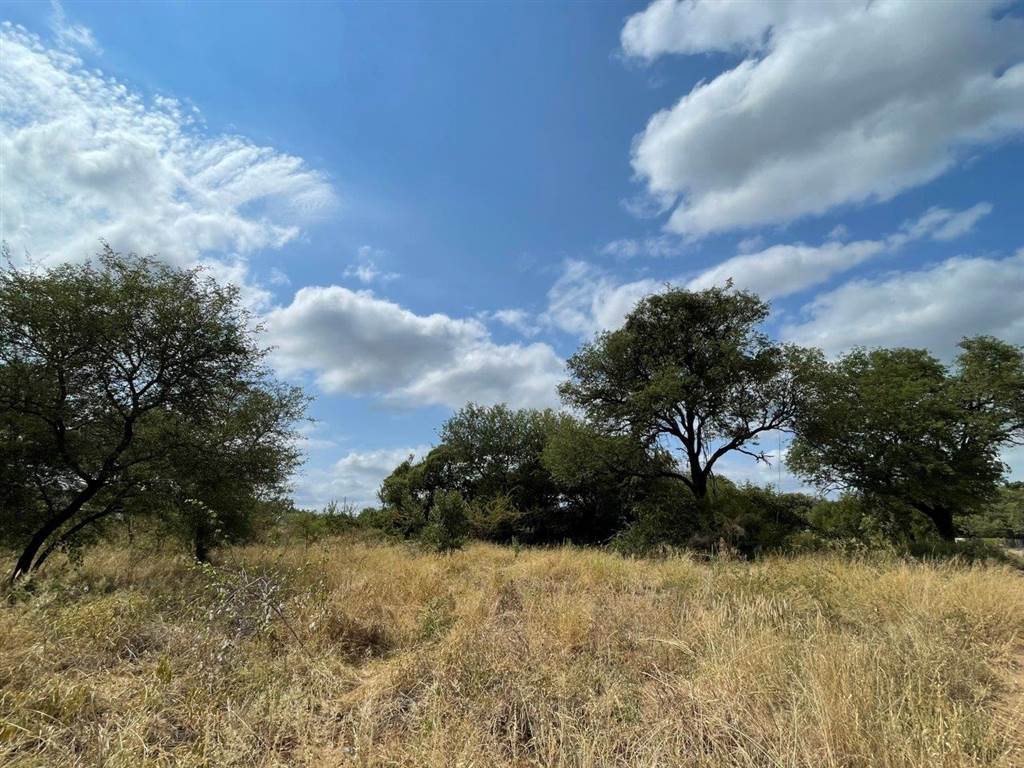 2000 m² Land available in Hoedspruit photo number 11
