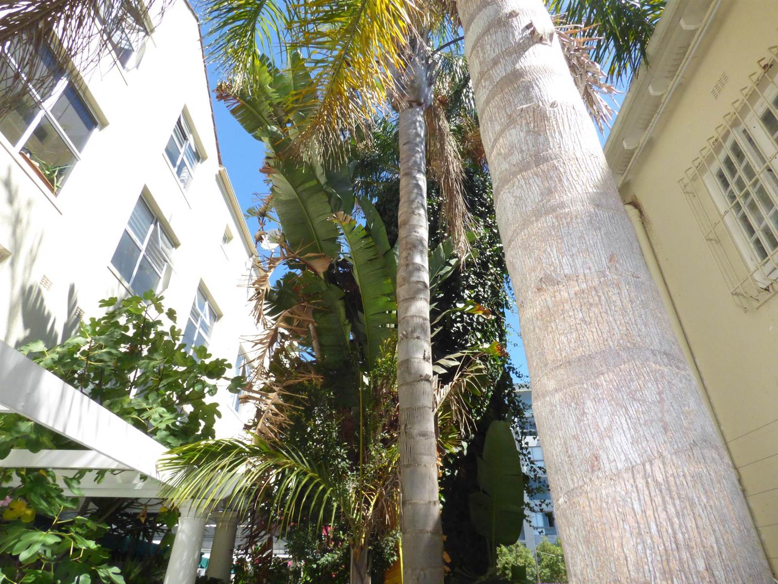 1 Bed Apartment in Fresnaye photo number 15