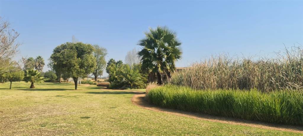 1471 m² Land available in The Islands Estate photo number 7