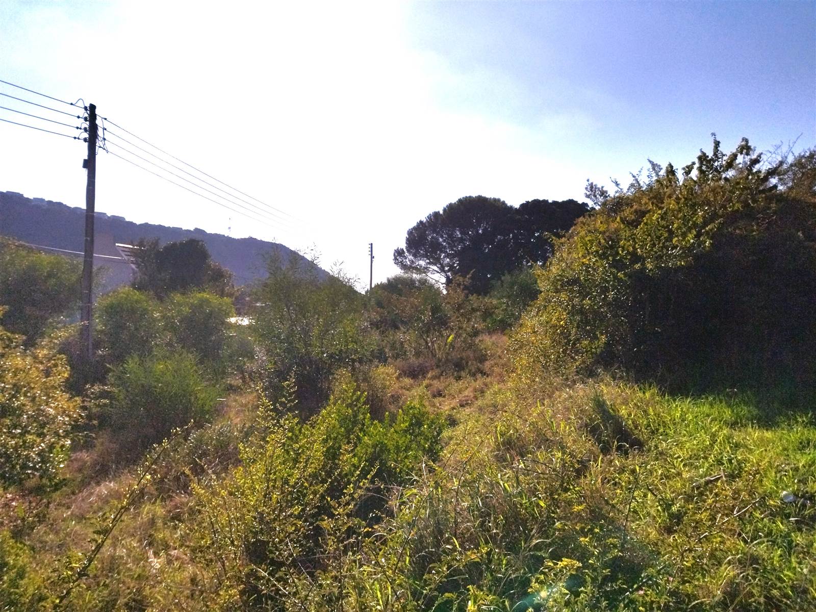 1301 m² Land available in Upper Robberg photo number 7