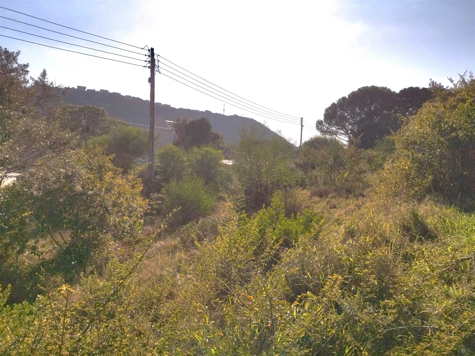 1301 m² Land available in Upper Robberg photo number 4