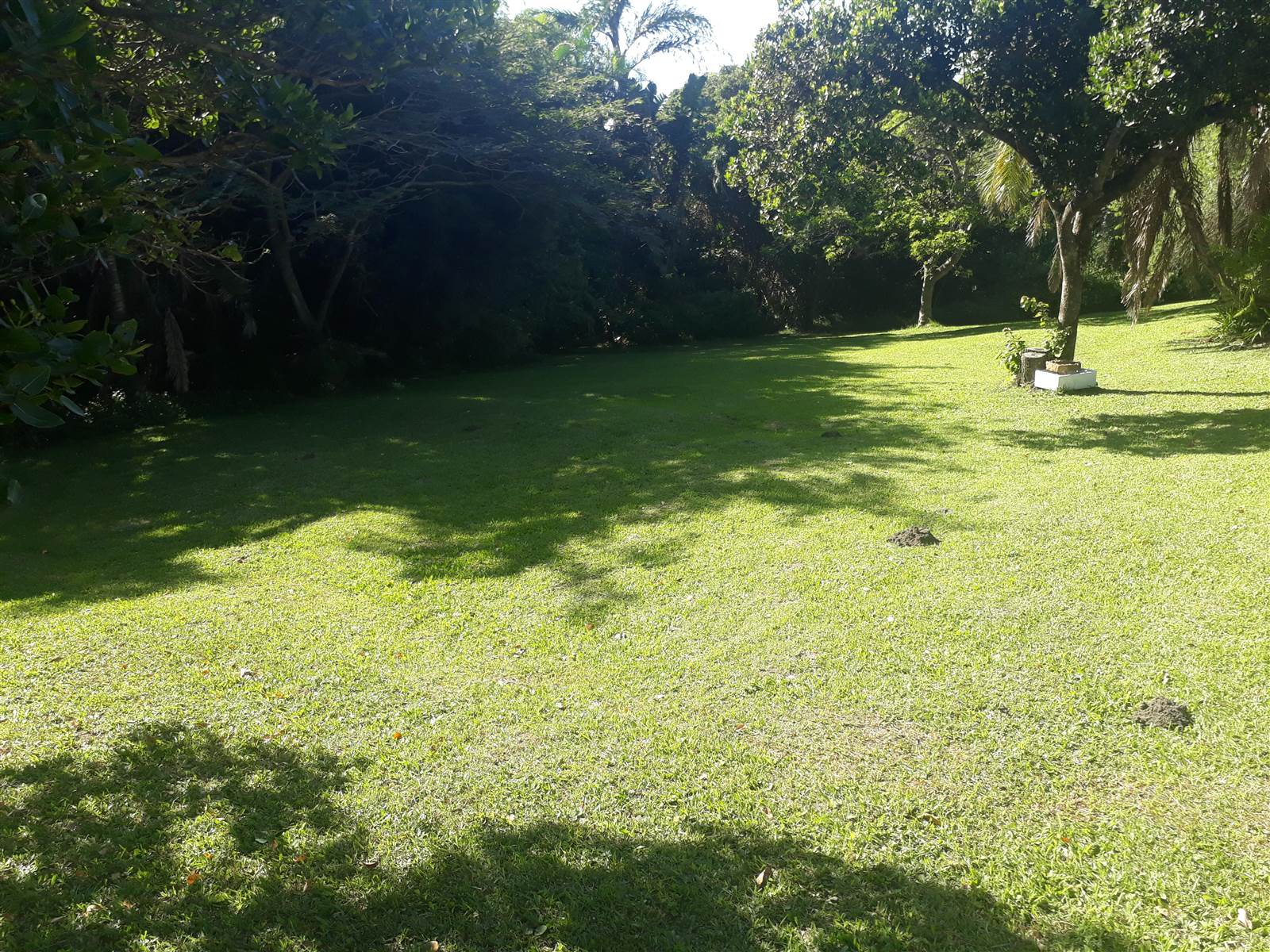 1283 m² Land available in Bazley Beach photo number 7