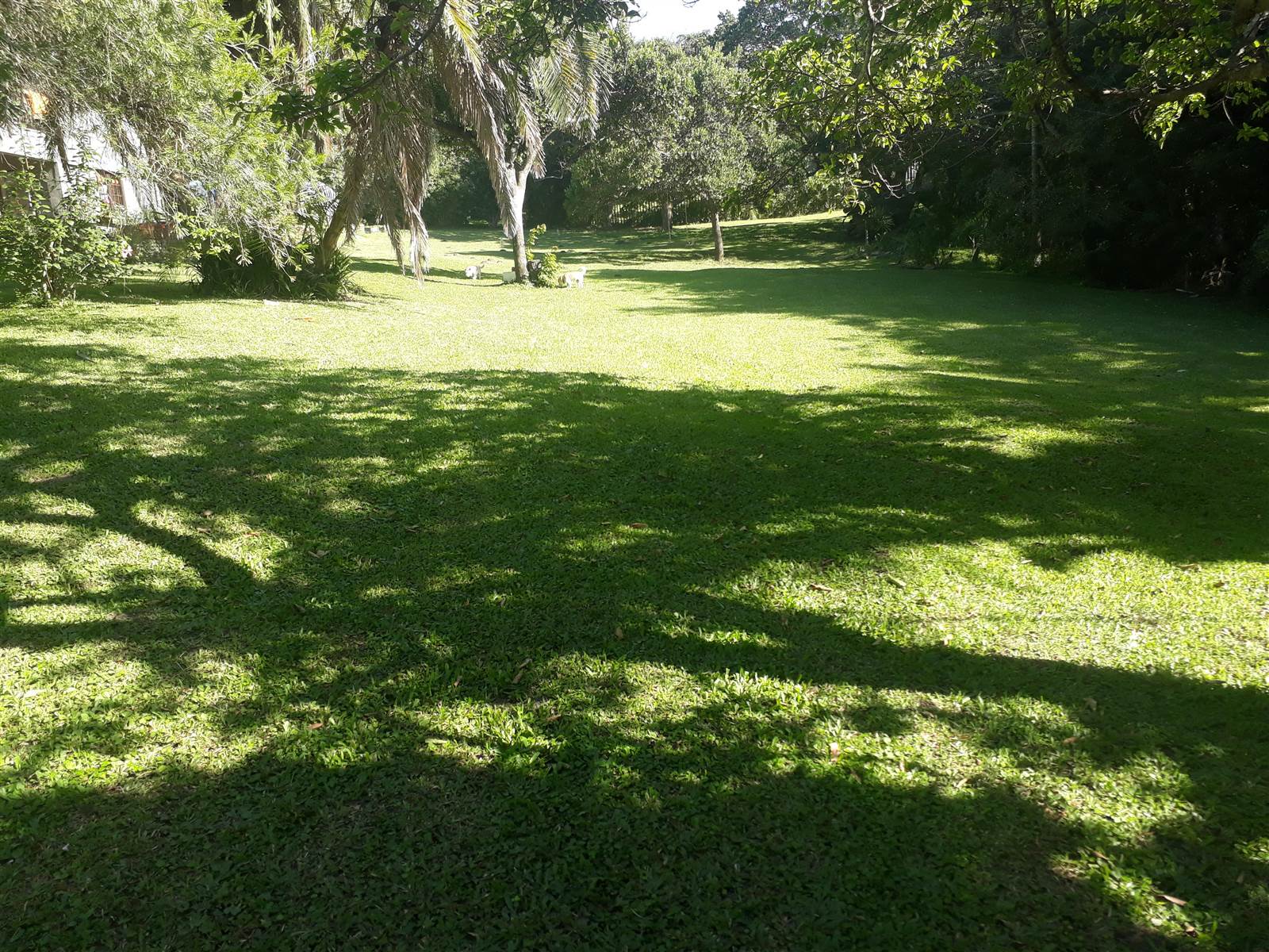 1283 m² Land available in Bazley Beach photo number 9