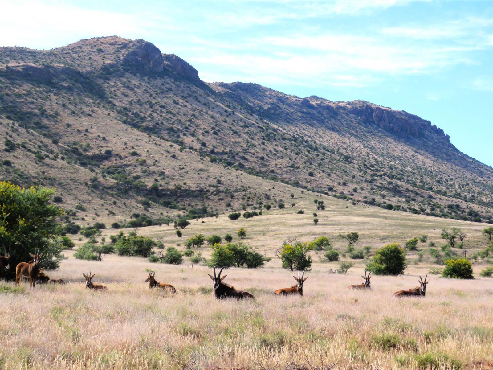 Game Farm in Cradock photo number 30