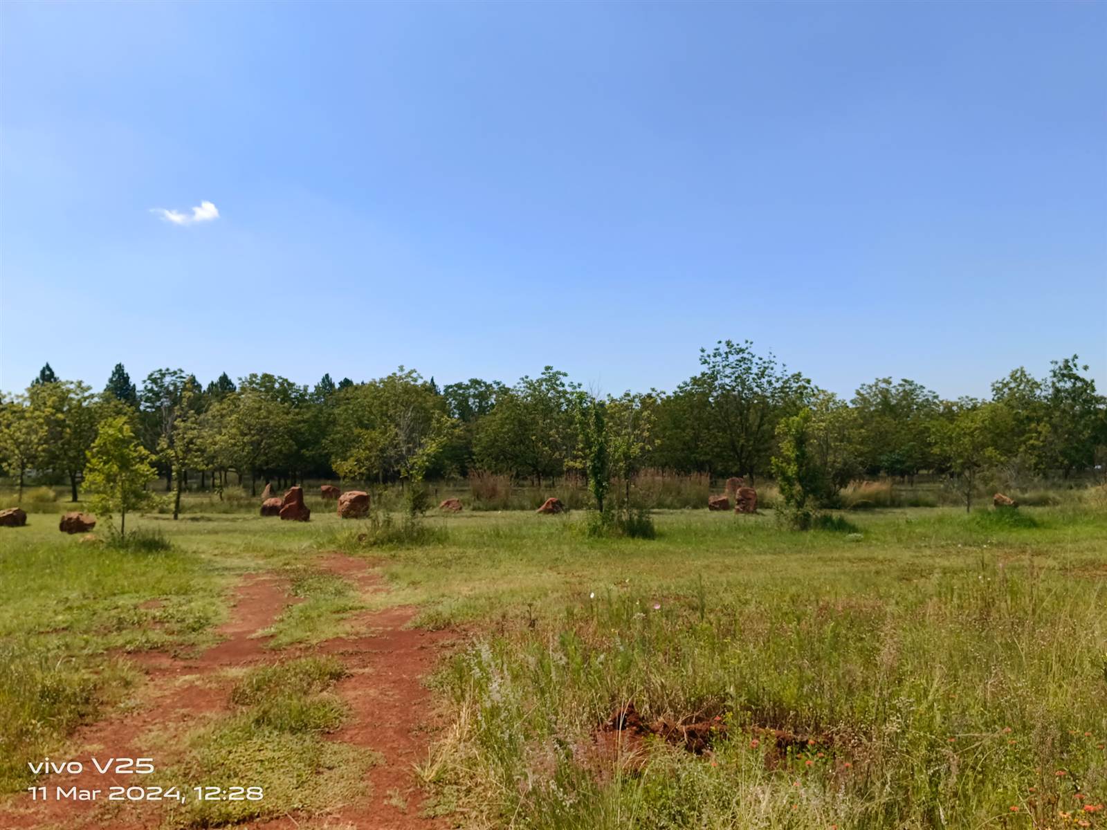 4.2 ha Land available in Tierpoort photo number 21