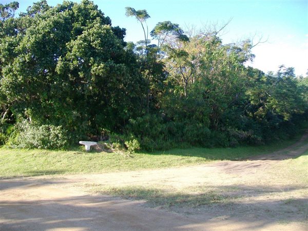 2916 m² Land available in Palm Beach
