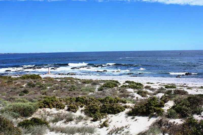 438 m² Land available in Shelley Point photo number 11