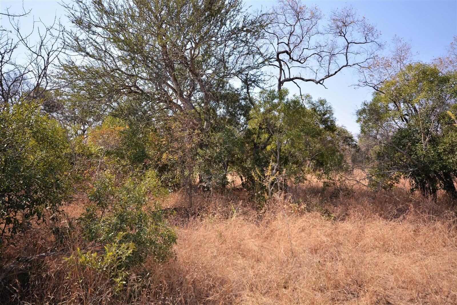 1 ha Land available in Moditlo Nature Reserve photo number 13