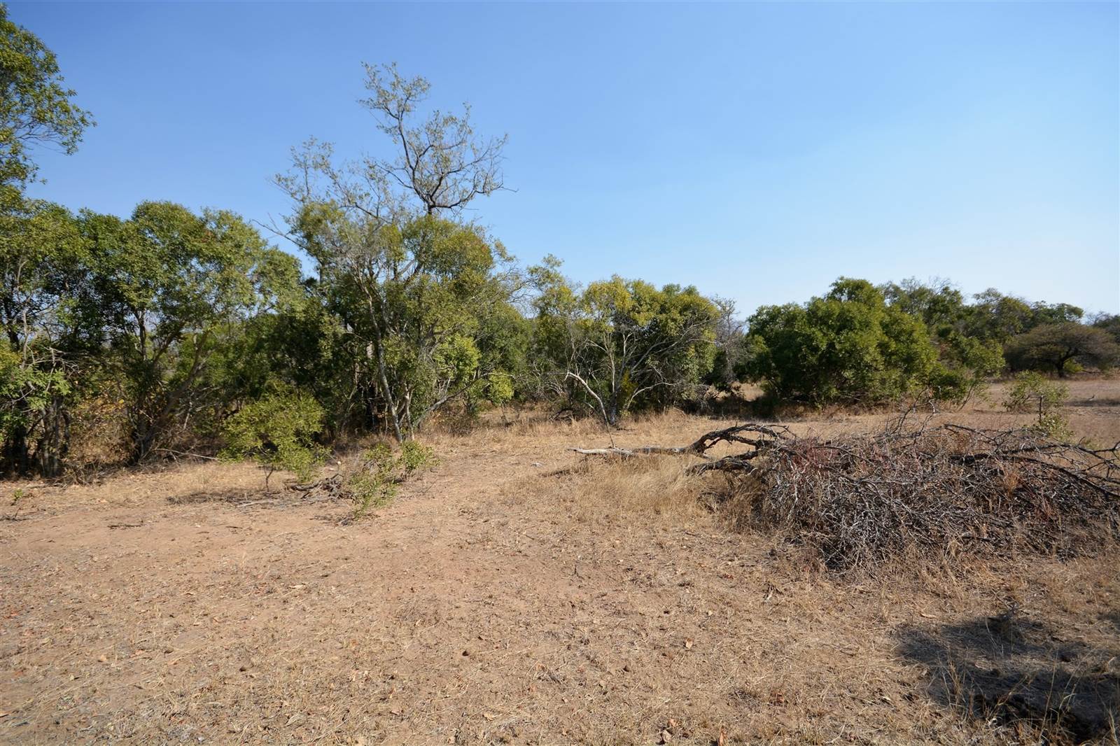 1 ha Land available in Moditlo Nature Reserve photo number 6