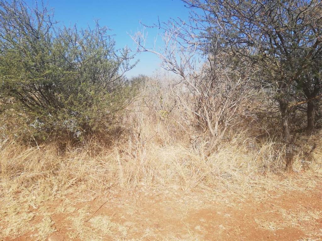 939 m² Land available in Seasons Lifestyle Estate photo number 13
