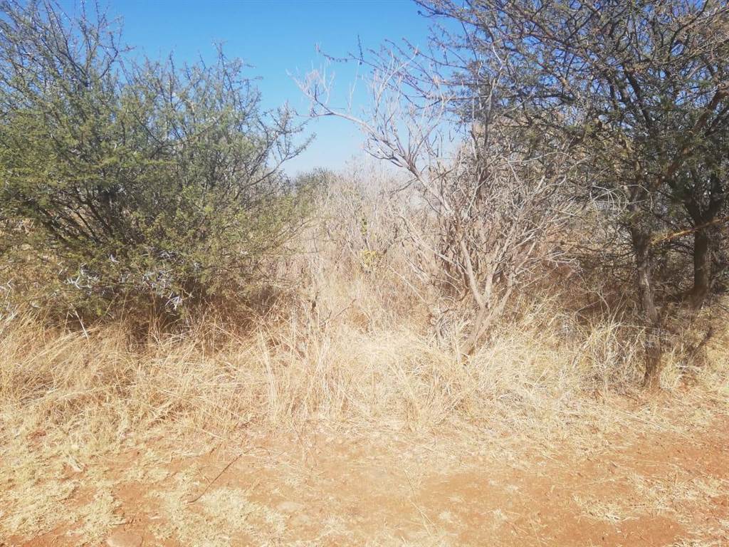 939 m² Land available in Seasons Lifestyle Estate photo number 2