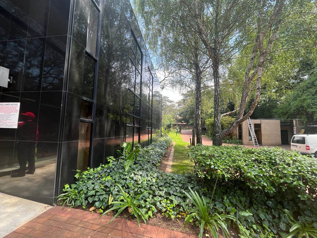 731  m² Commercial space in Parktown photo number 3