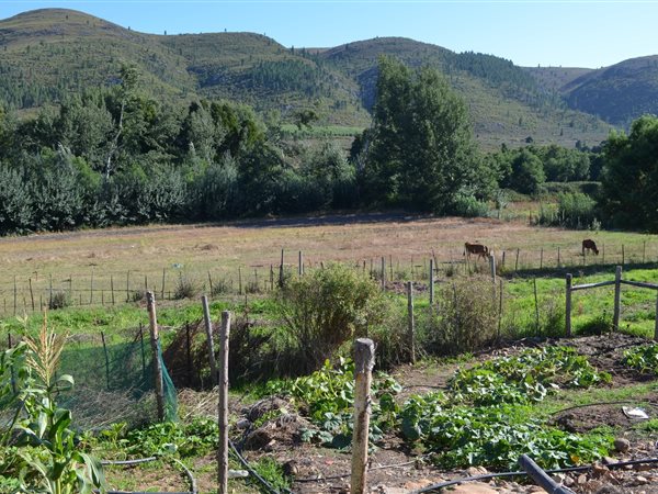 7 138 m² Land 7 138 m² Land