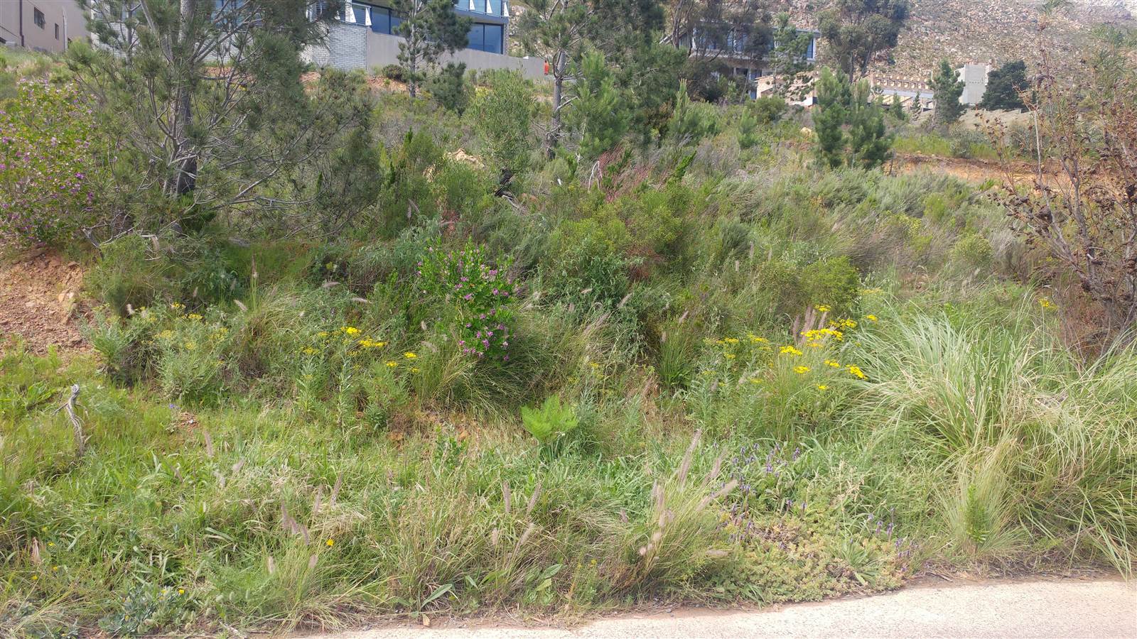 870 m² Land available in Mountainside photo number 2