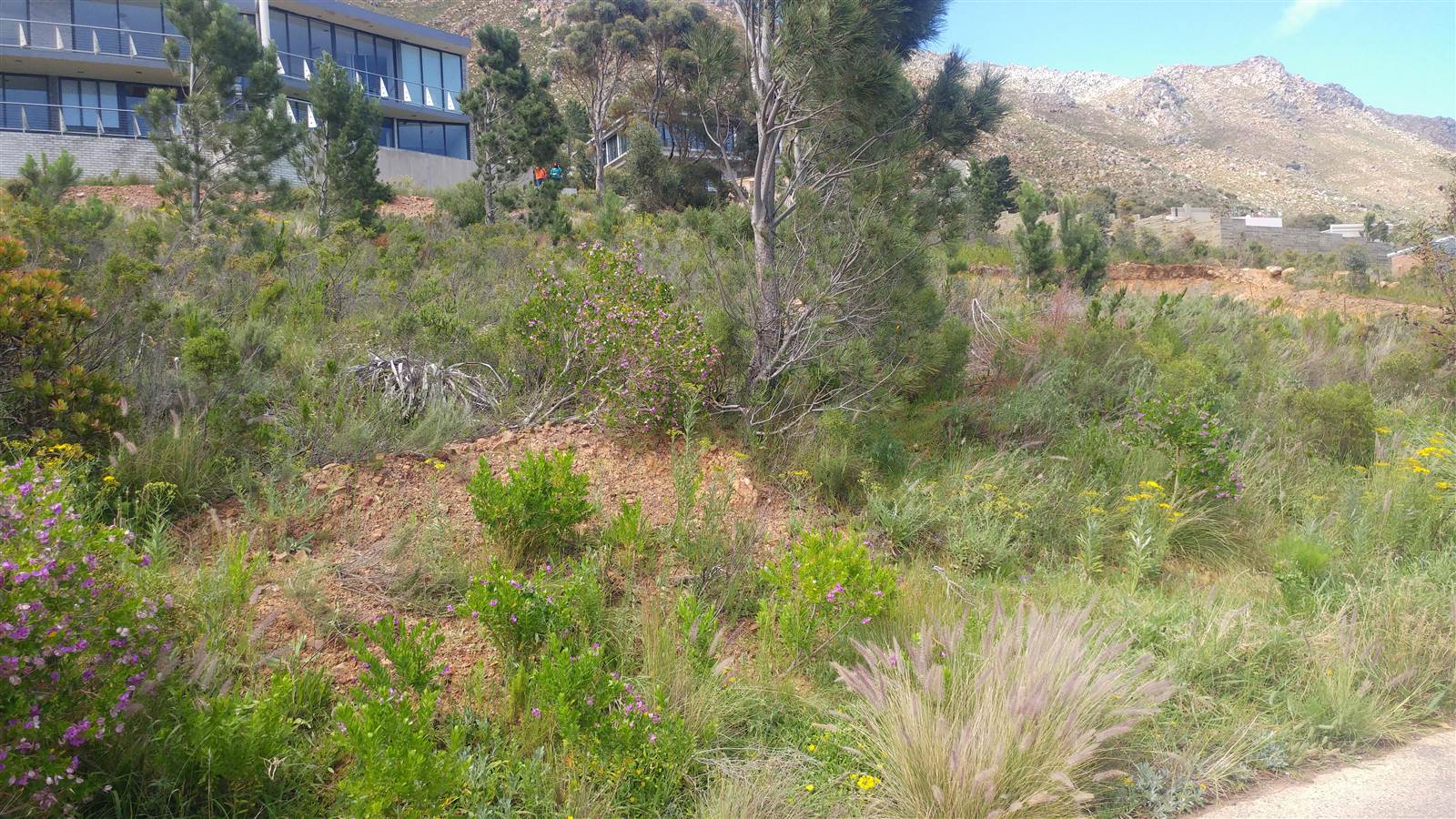 870 m² Land available in Mountainside photo number 1