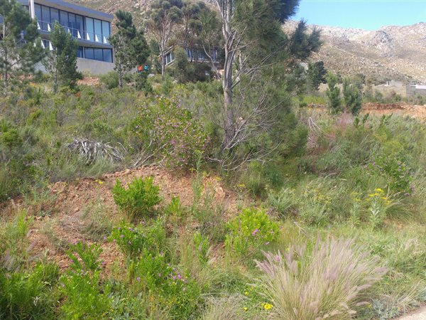 870 m² Land available in Mountainside