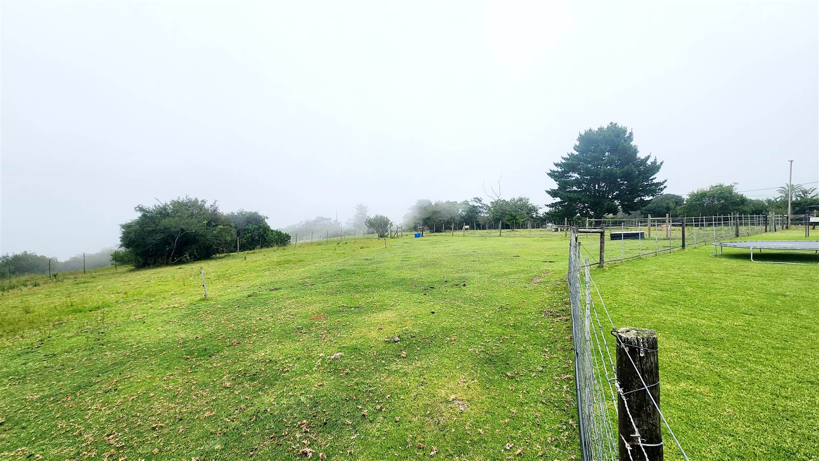3.6 ha Smallholding in Wilderness Heights photo number 7