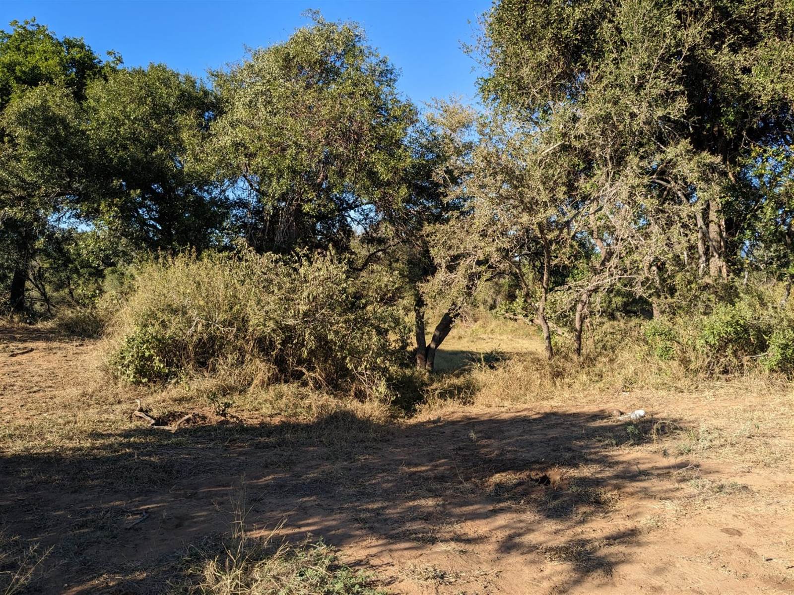 1300 ha Land available in Hoedspruit photo number 3
