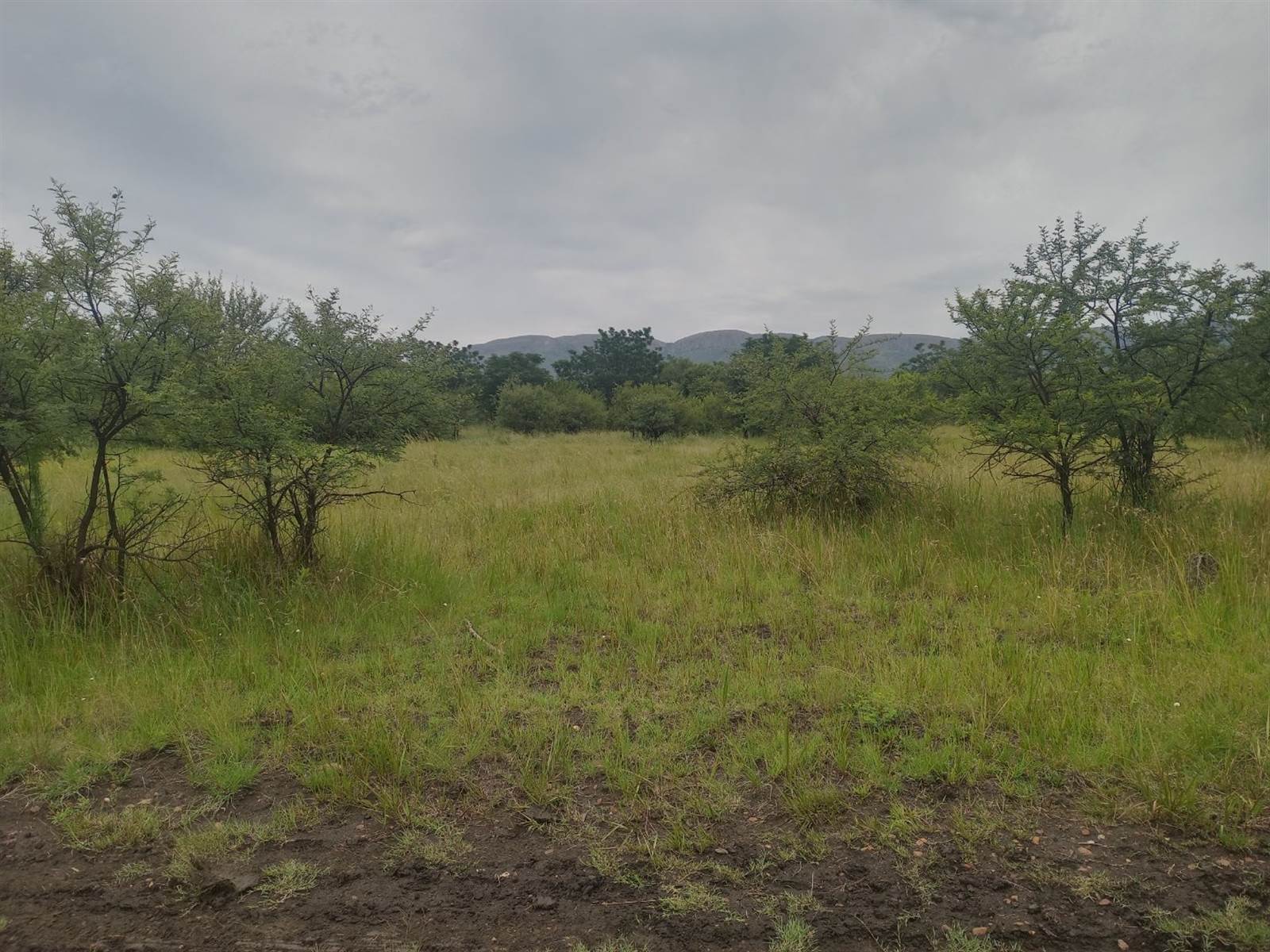 1276 m² Land available in Melodie photo number 4