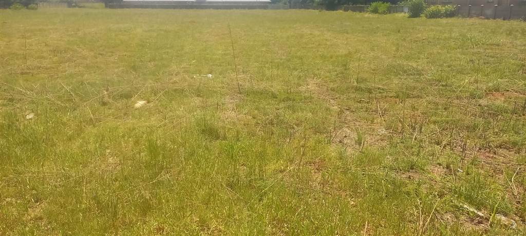 1029 m² Land available in Kookrus photo number 4