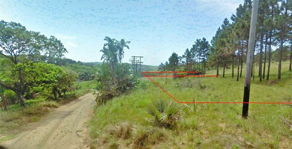 3655 m² Land available in Palm Beach photo number 5