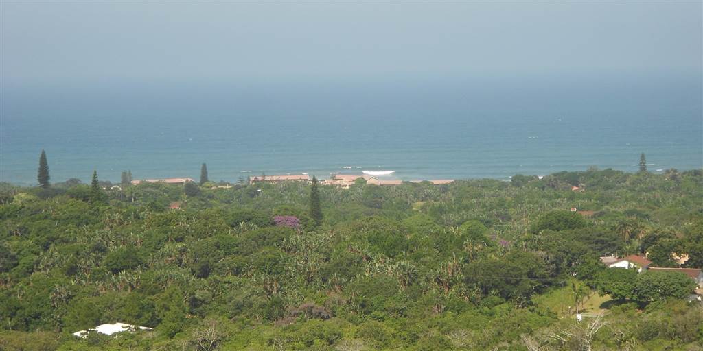 3655 m² Land available in Palm Beach photo number 12