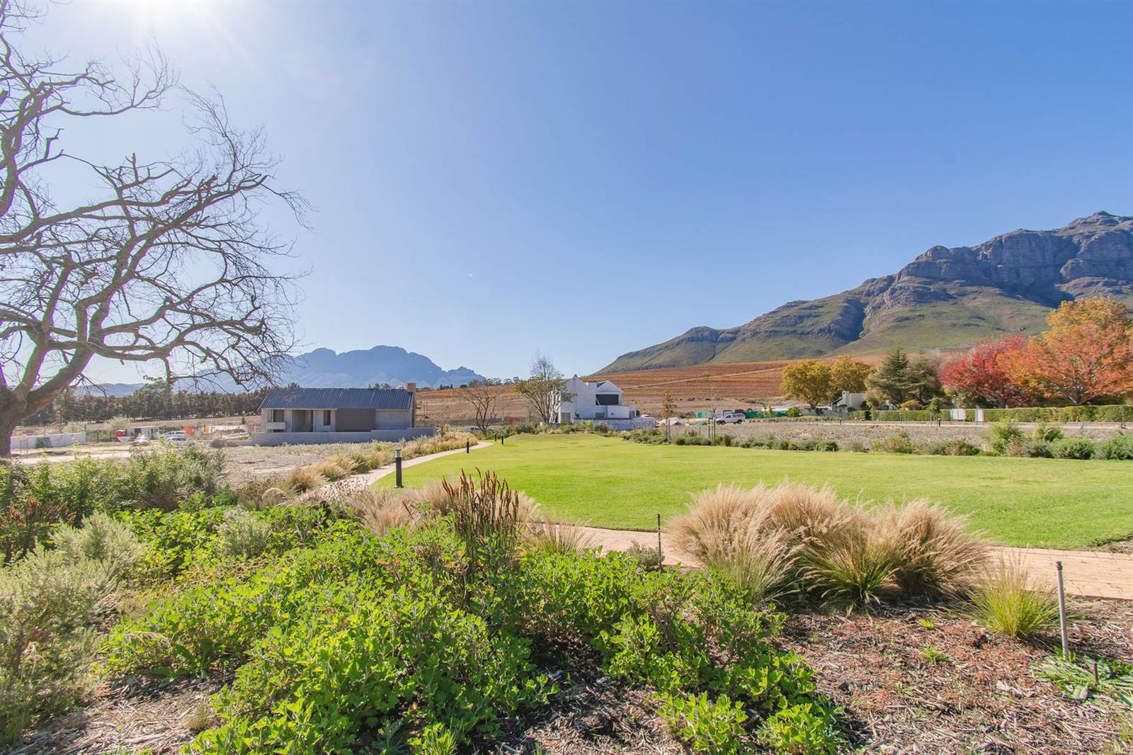 557 m² Land available in Stellenbosch Central photo number 5
