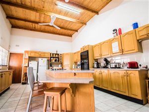 9 ha Farm in Mooilande