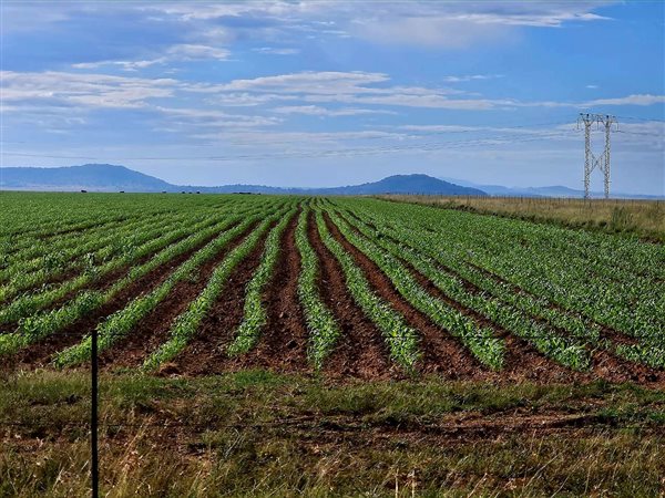 3463 ha Farm in Bloemfontein Rural