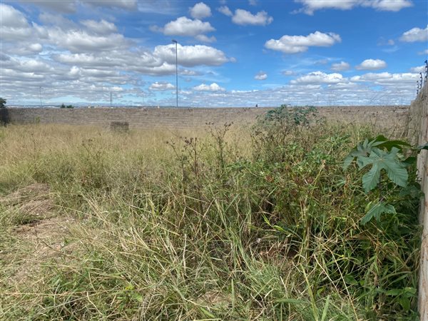 346 m² Land available in Mahlasedi Park