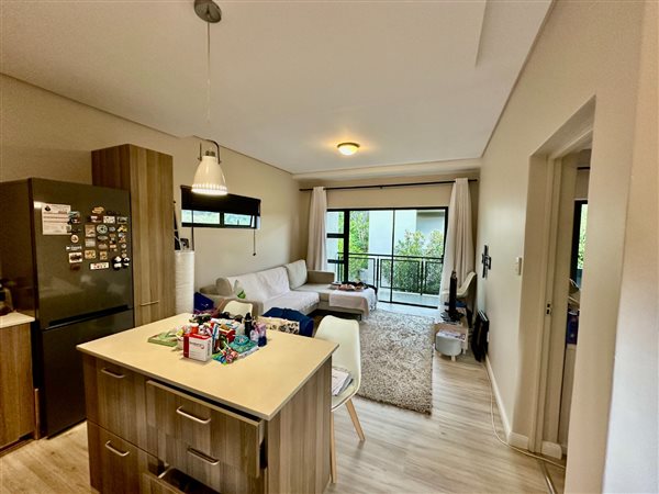 1 Bed Apartment