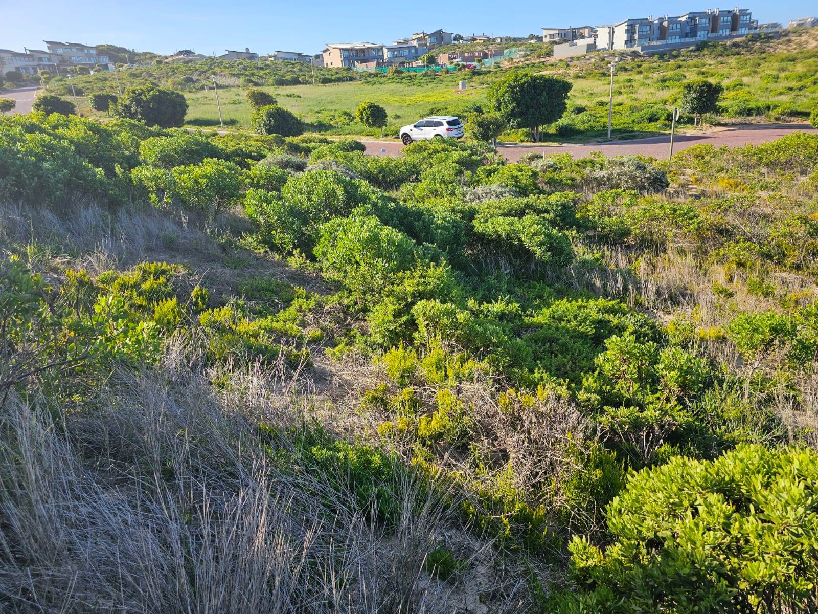 780 m² Land available in Stilbaai photo number 1