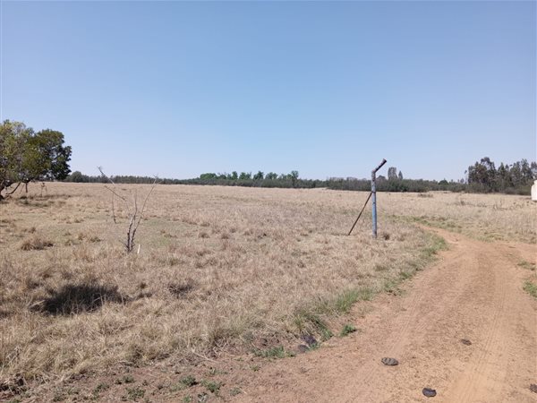 175 ha Farm