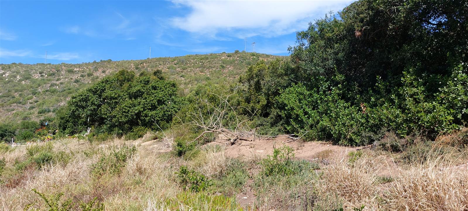224 m² Land available in Mossel Bay Central photo number 1
