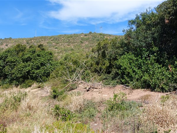 224 m² Land available in Mossel Bay Central