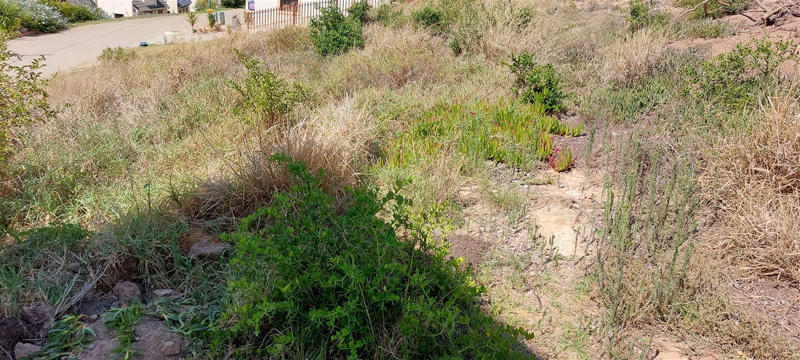 224 m² Land available in Mossel Bay Central photo number 10